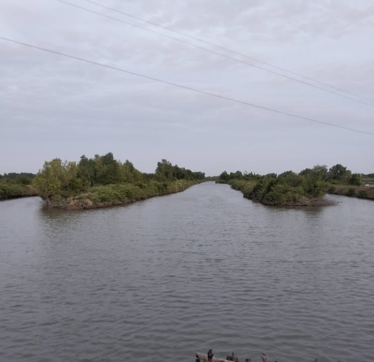 Đất nền 930.000m² tại Xã Đất Mới, Huyện Năm Căn - Giá chỉ 12 tỷ - Cơ hội đầu tư hiếm có!