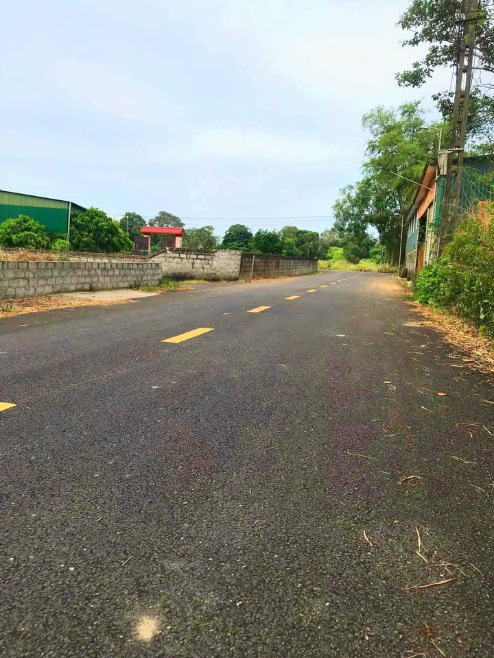 Đất An Tiên, Xã Xuân Giang 143m² - Hướng Đông Mát Mẻ, Đầu Tư Lợi Nhuận!