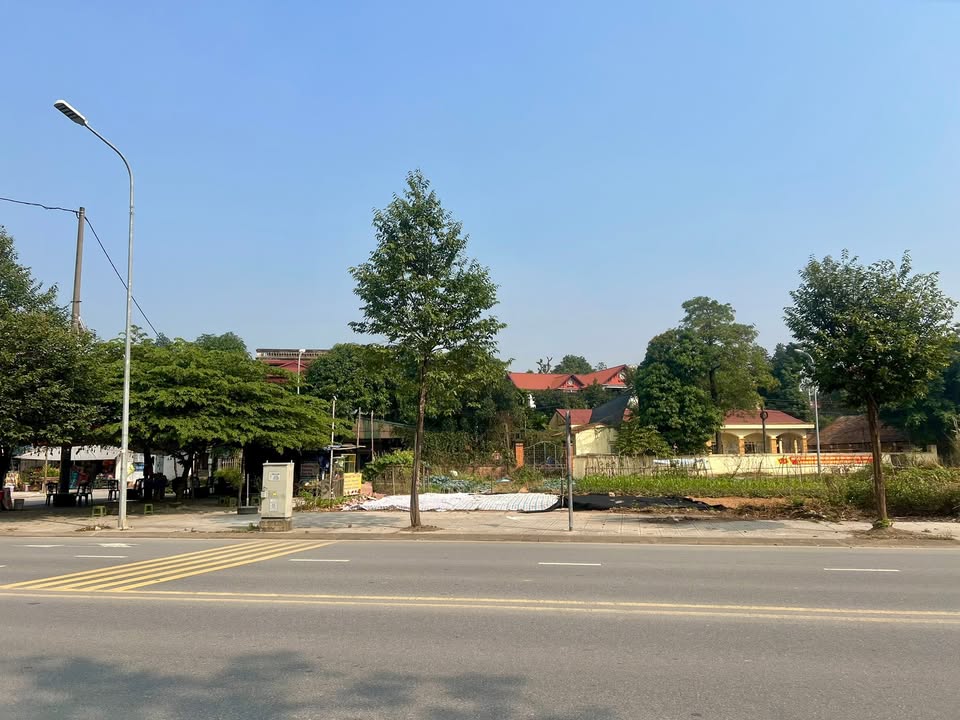 Đất vàng mặt tiền 20m Đường Vũ Thế Lang, Việt Trì - 420m² giá chỉ 8x triệu