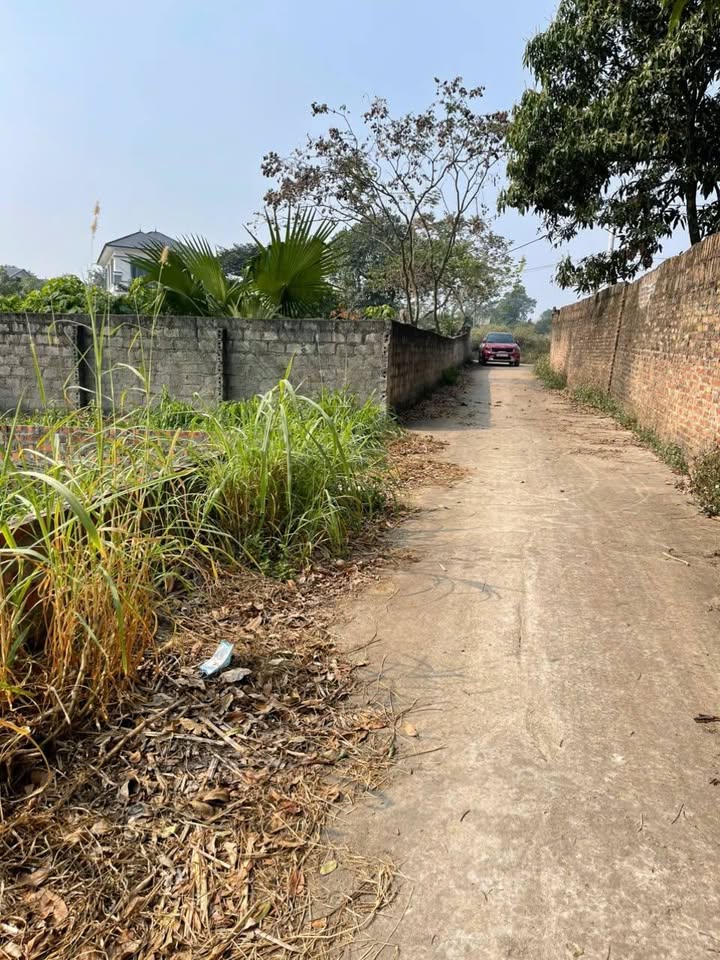 Đất thổ cư 100m² thôn Giếng Mát, Hướng Đạo, Tam Dương - Giá 500 triệu VND, Sổ hồng chính chủ!