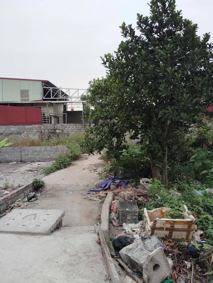 Lô đất đẹp tại Kiến An, Hải Phòng 61m² giá 1.05 tỷ - Tiềm năng tăng giá tốt!