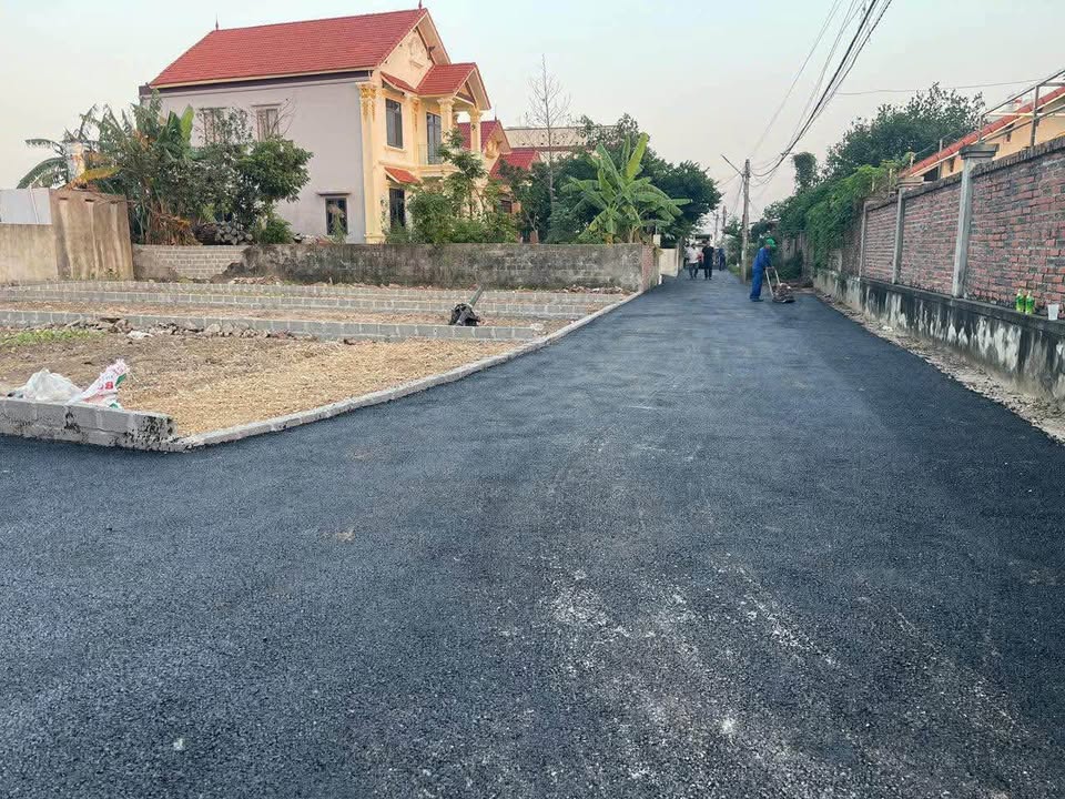 Đất nền chính chủ tại Thanh Sơn, Kiến Thụy 65.9m² giá chỉ 1 tỷ - Cơ hội đầu tư tuyệt vời!