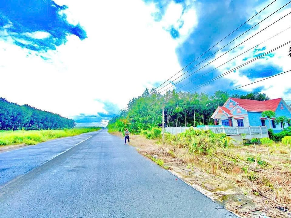 Đất nền thổ cư 200m² tại Minh Lập, Chơn Thành - Giá chỉ từ 5 tỷ!