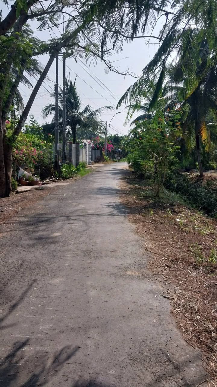 Đất vườn dừa 2270m² tại phường Long Đức, Vĩnh Long - Giá chỉ 1.85 tỷ!