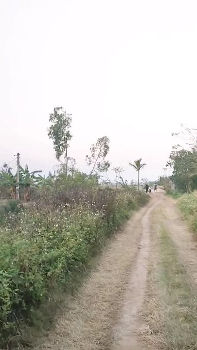 Đất nền Giao Xuân 965m² giá 3.6 tỷ - Đường nhựa thông thoáng!