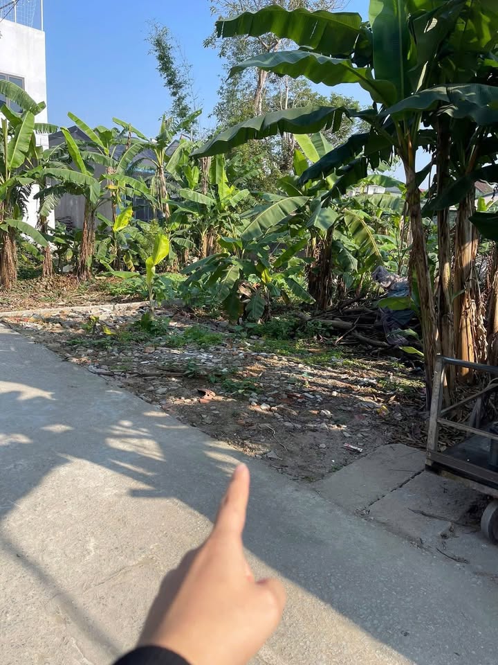 Đất nền Hưng Lộc Vinh 100.6m² giá 2.x tỷ - Mặt tiền rộng, vị trí đẹp!