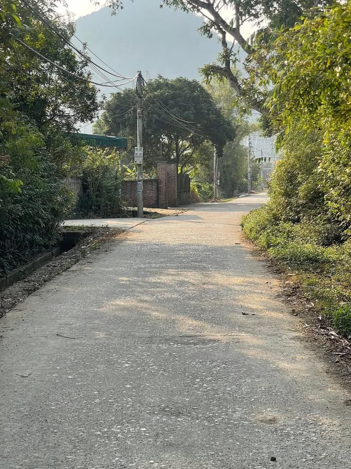 Đất nền Gia Sơn, Nho Quan 270m² thổ cư giá chỉ nhỉnh 1 tỷ - Cơ hội đầu tư hấp dẫn!