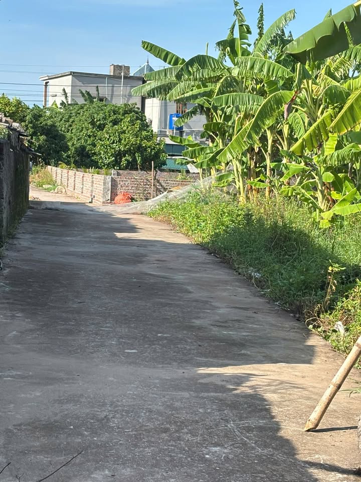 Đất nền Đông Lâm, Tiền Hải 85m² giá 400 triệu - Đầu tư sinh lời ngay!