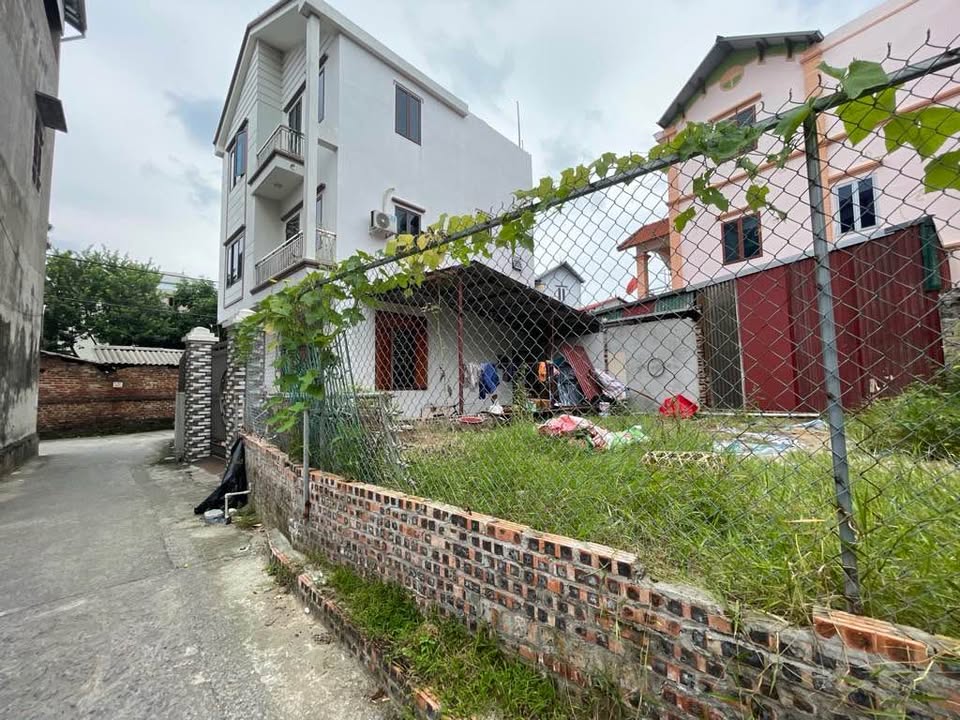 Đất Mạch Tràng, Cổ Loa, Đông Anh 91.7m² - Ô tô vào tận nơi, giá thỏa thuận!