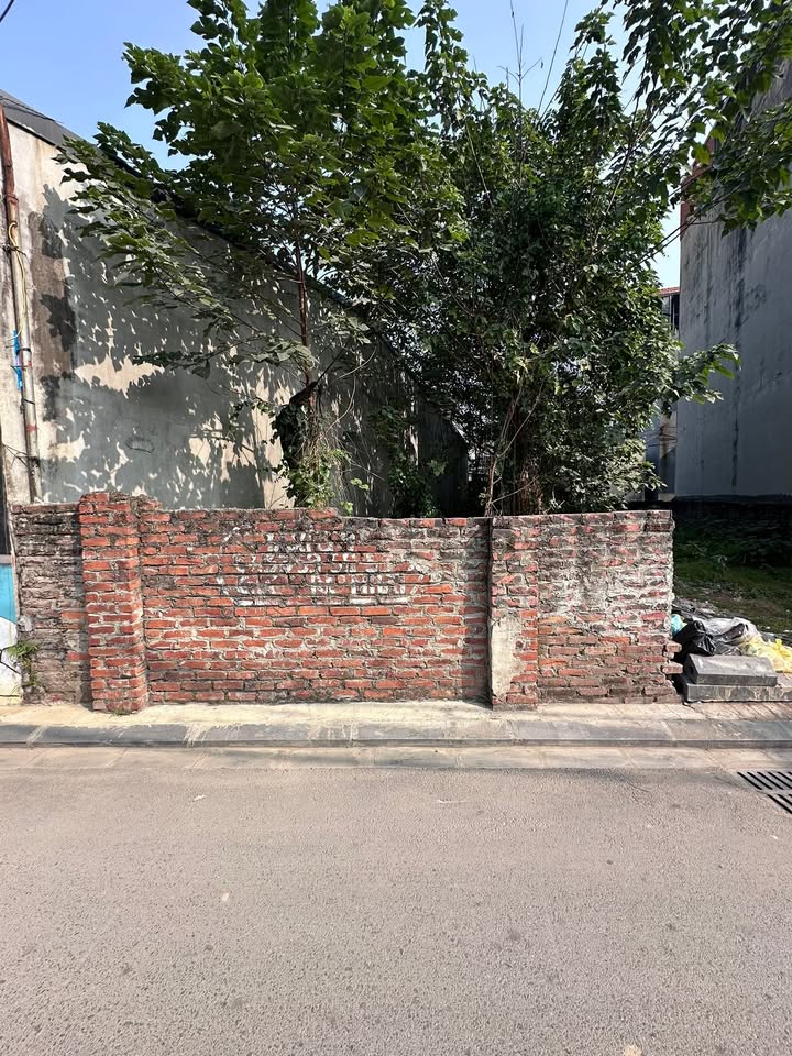 Đất nền KCN Bắc Thăng Long 50m² giá nhỉnh 3 tỷ - Cơ hội đầu tư hiếm có!