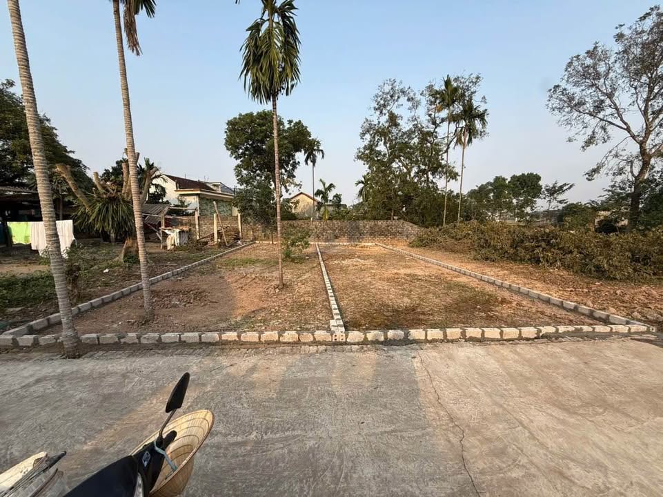 Bán gấp 2 lô đất thôn Đình Lê, xã Tuy Lai, 87m² và 87,4m² - Đường ô tô vào thoải mái!