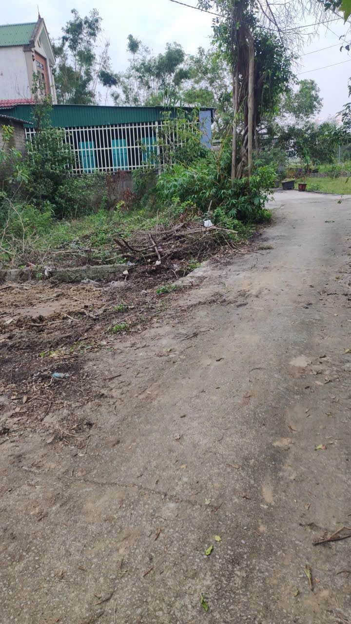 Đất nền Thái Phúc, Nghi Thái 200m² giá 2 tỷ - Đầu tư sinh lời ngay!