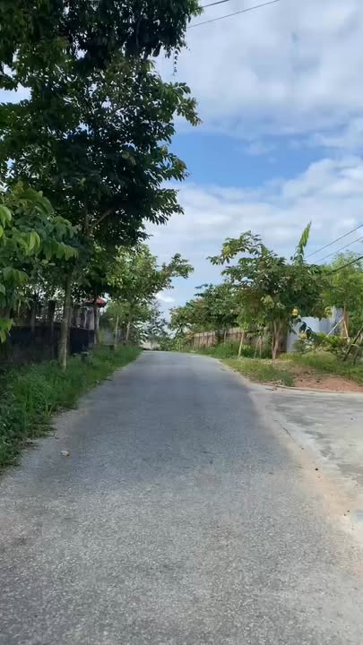 Đất thổ cư 200m² khu 7, xã Hoàng Cương chỉ 600 triệu - Cơ hội đầu tư tuyệt vời!