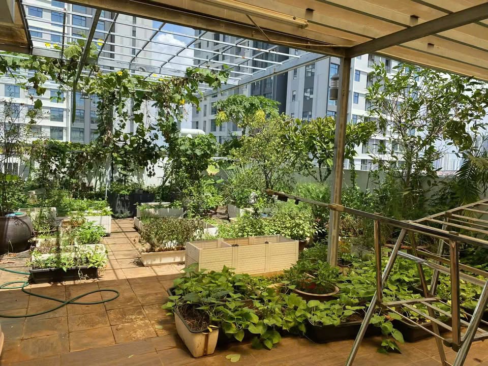 Cho thuê Penthouse Sky Garden 2, Phú Mỹ Hưng 350m² - Thiết kế độc đáo, hòa mình vào thiên nhiên!