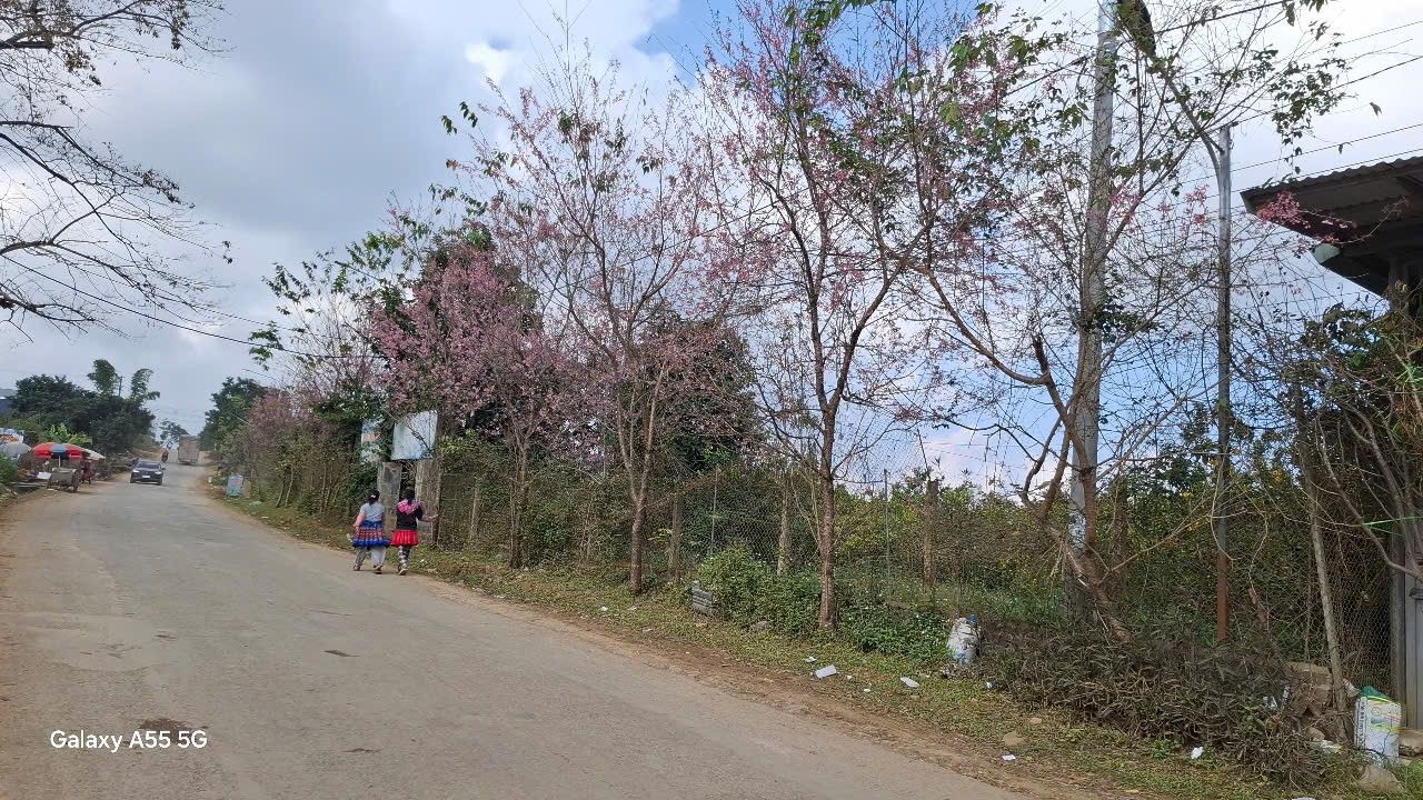 Đất thổ cư Pa Khen, Thảo Nguyên 190m² giá 2.5 tỷ - Cơ hội đầu tư tuyệt vời!