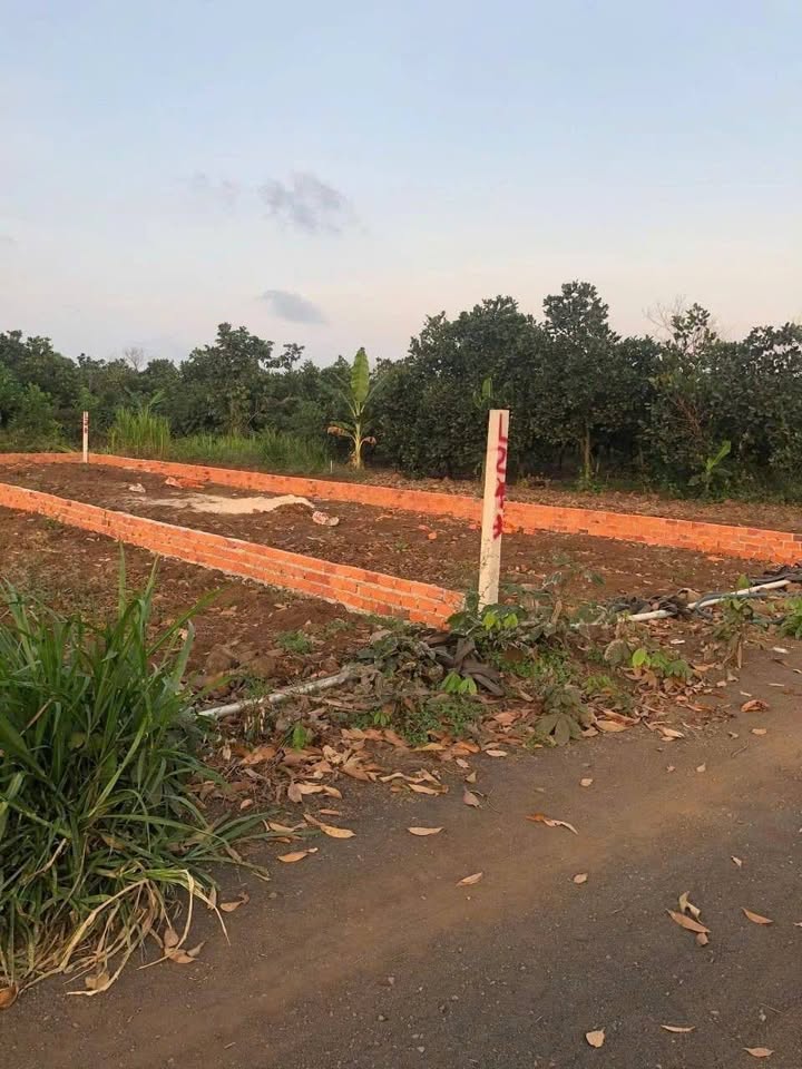 Đất nền Phước Long Thọ 1968m² giá 7.7 tỷ - Đầu tư sinh lời hấp dẫn!