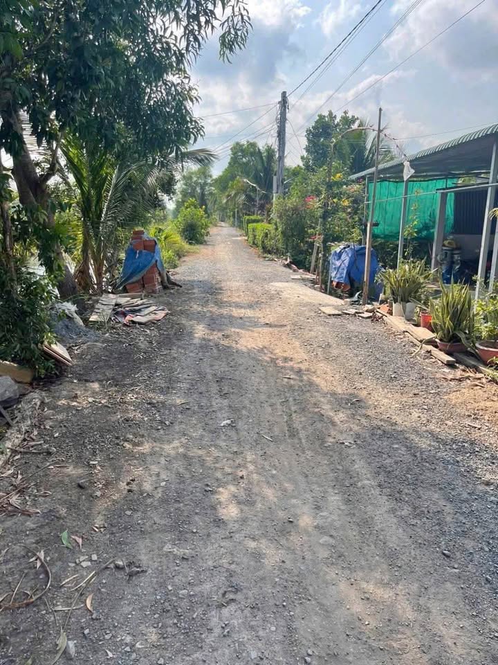 Đất vườn 1000m² tại Lương Hòa, Bến Lức chỉ 1.38 tỷ - Thích hợp nghỉ dưỡng!