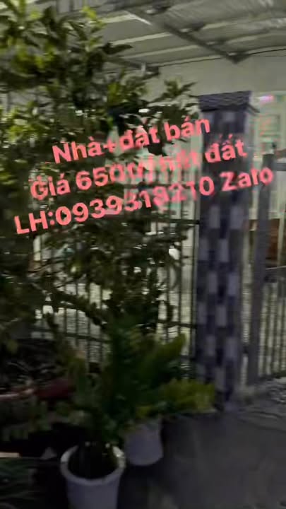 Đất nền chính chủ tại xã Tân Hộ Cơ, huyện Tân Hồng, 112m² - Giá chỉ 650 triệu!