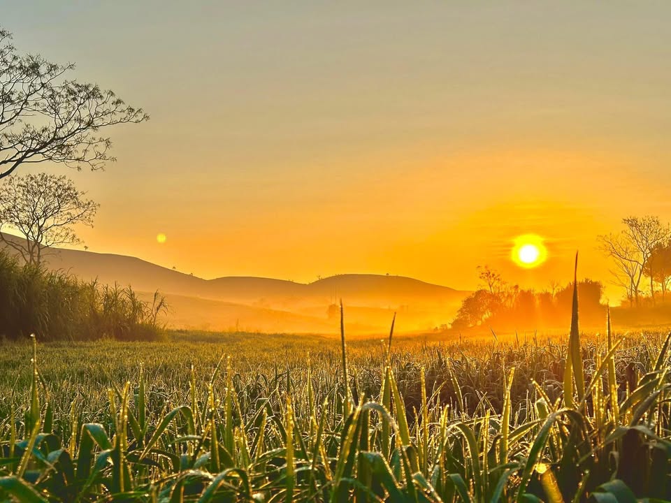 Đất nền phường Đào Viên, Quế Võ 90m² giá 1 tỷ - Cơ hội đầu tư sinh lời!