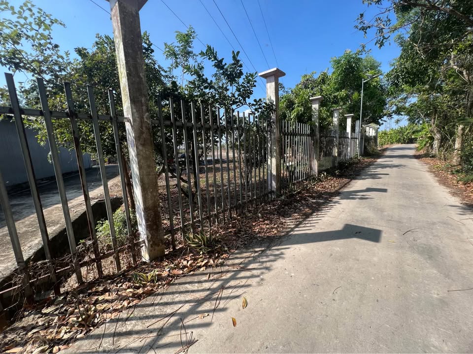 Đất nền 5.500m² tại Bình Đức, Long Xuyên - Giá chỉ 1.15 tỷ VND, mô hình nuôi cá sẵn sàng!