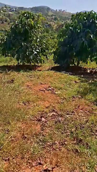 Đất nông nghiệp thôn 4 Gia Lâm 10.000m² giá 2.1 tỷ - Thương lượng hấp dẫn!