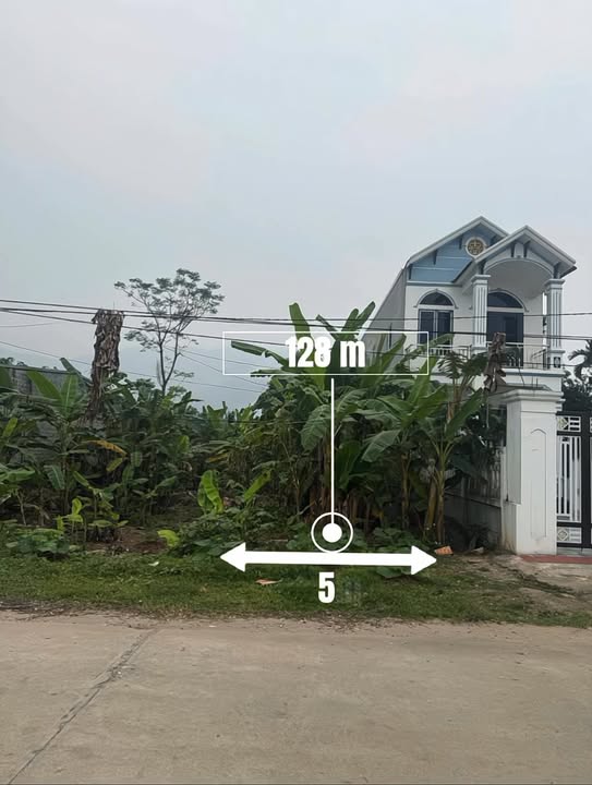 Đất nền khu 6 Tu Vũ, Thanh Thủy 128m² giá nhỉnh 1 tỷ - Đầu tư sinh lời ngay!