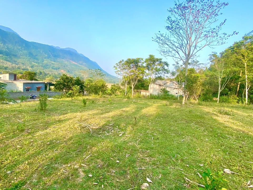 Đất Farm Tiểu khu Hương Lý Đà Bắc 2200m² giá 1.5 tỷ - Cơ hội đầu tư hấp dẫn!