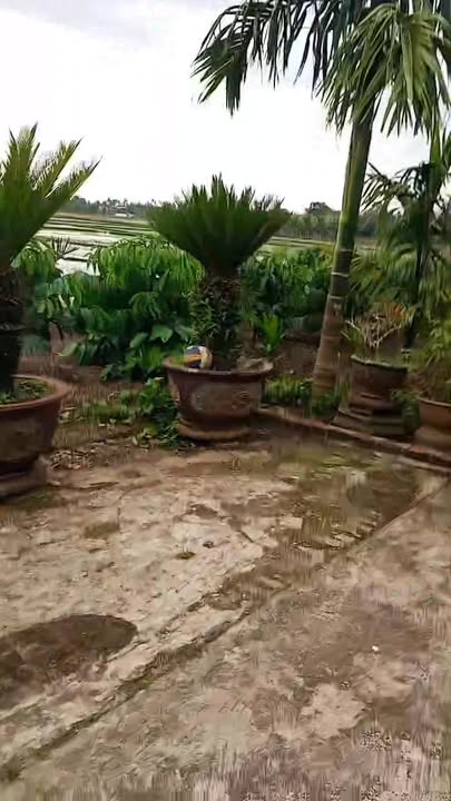 Đất nền xã Ea Phê 16.187m² - View siêu đẹp, vị trí đắc địa!