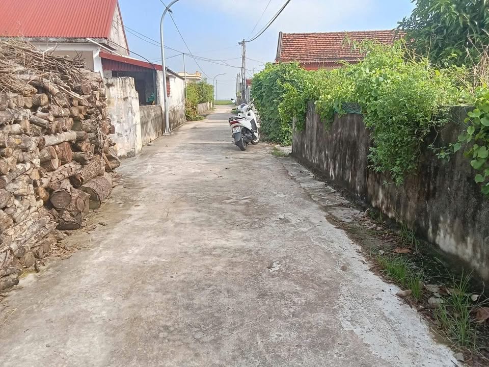 Đất thổ cư Nghĩa Lâm, Nho Quan, Ninh Bình 226m² - Sở hữu ngay với giá chỉ từ 4xx triệu!