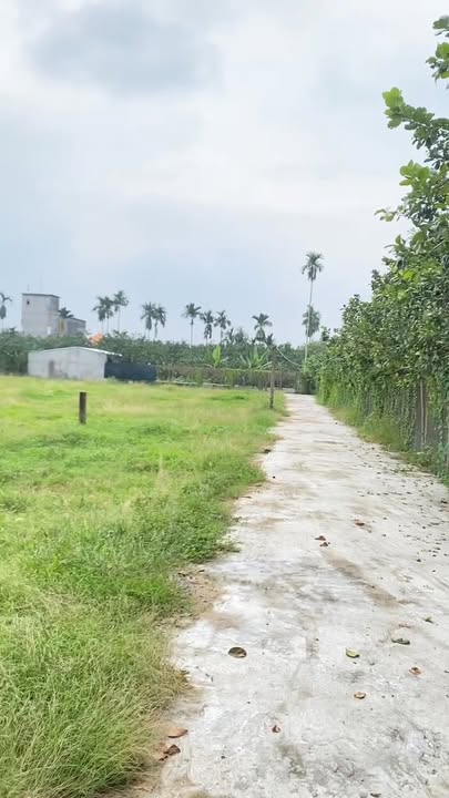 Đất nền Phường Mỹ Phong 85m² giá chỉ 600 triệu - Nhanh tay sở hữu!