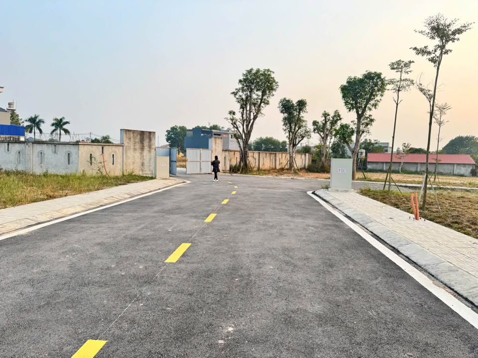 Đất thổ cư Khu Quân Nhân 832, Tam Quan 123.9m² giá 3 tỷ - Nằm gần đảo tròn!