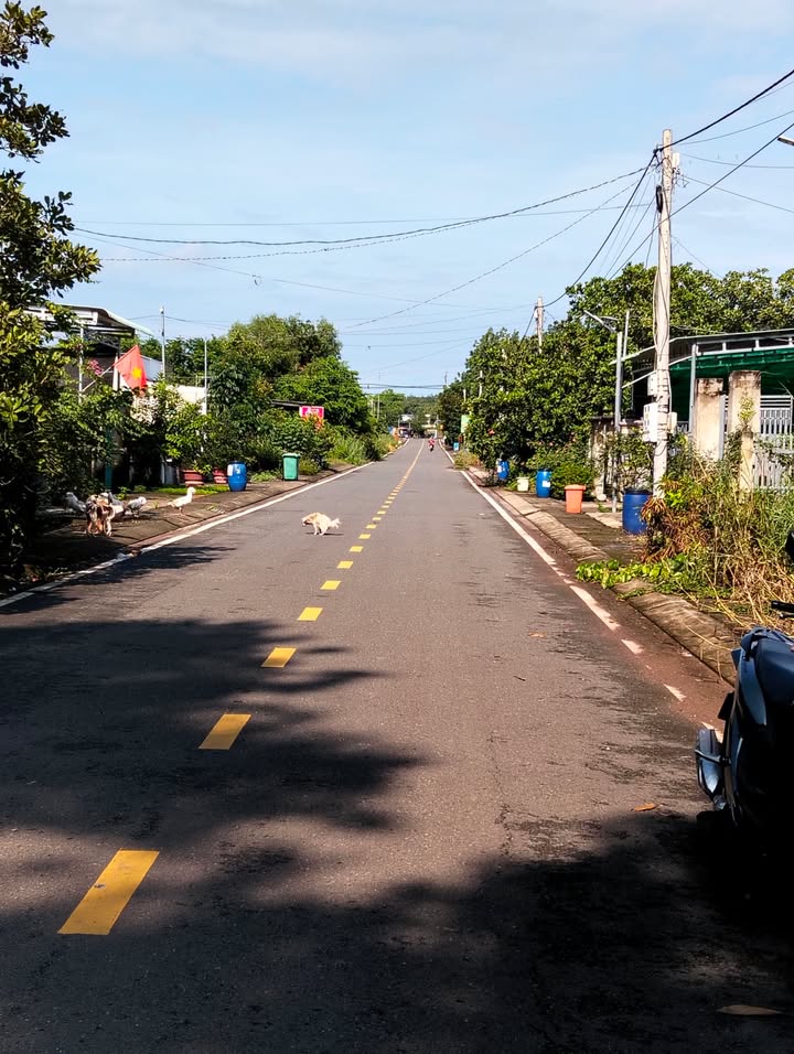 Đất thổ cư 250m² Tân Khai - Giá chỉ 790 triệu, vị trí đắc địa!