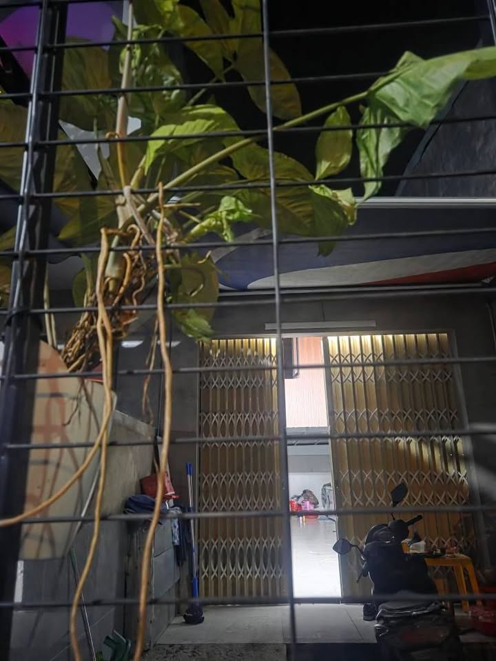 Đất nền 70m² kiệt Hải Phòng, Đà Nẵng - Sẵn nhà cho thuê, đầu tư ngay!