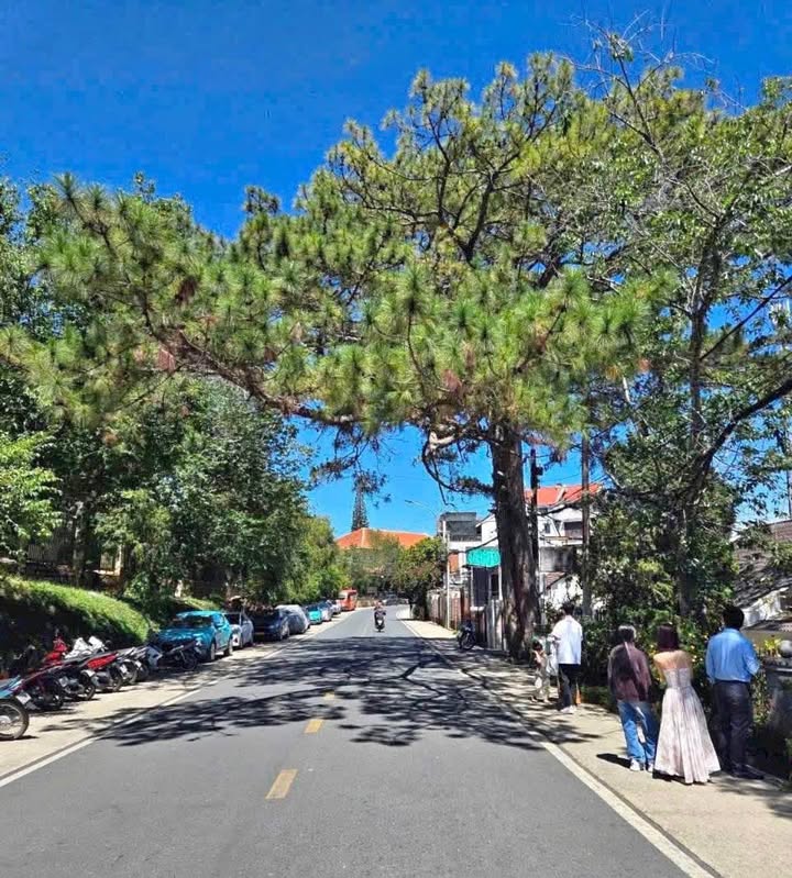 Bán đất mặt tiền Phạm Ngọc Thạch Đà Lạt 225m² giá 15,5 tỷ - Đầu tư sinh lời cao!