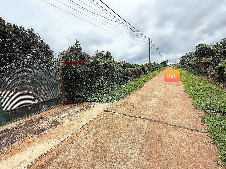 Đất nền Đại Đồng Phú Yên 185m² chỉ 399 triệu - Cơ hội đầu tư tuyệt vời!