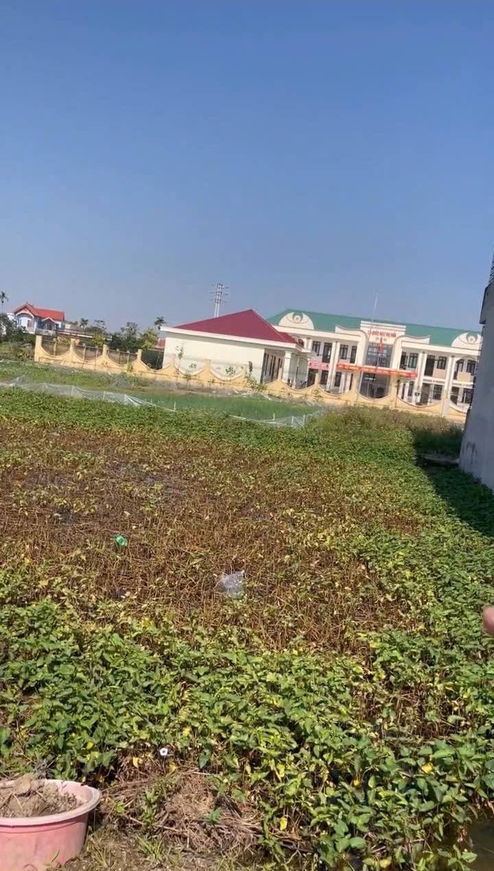 Đất Thôn Đan Hội, Hưng Hà, Thái Bình 100m² giá 1.6 tỷ - Kinh doanh tốt, khu dân cư đông đúc!