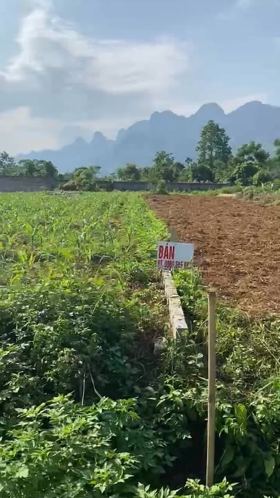 Đất nền Lùng Càng, Vị Xuyên 500m² giá 450 triệu - Cơ hội đầu tư hấp dẫn!