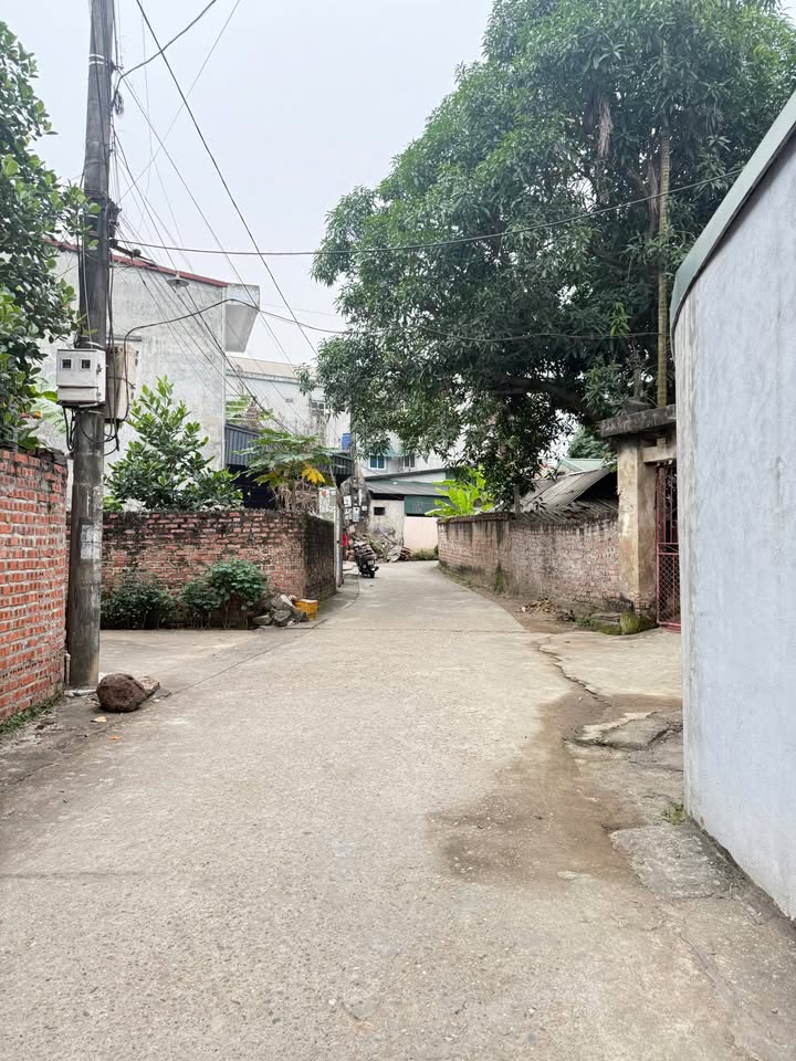 Đất nền Minh Nông, Việt Trì 200m² giá 2,5 tỷ - Đầu tư sinh lời ngay!