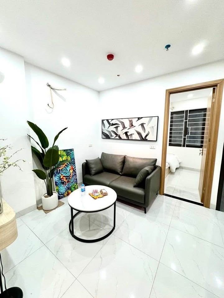 Chung cư mini Lê Duẩn, Đống Đa 50m² giá 2.5 tỷ - Sẵn sàng vào ở ngay!