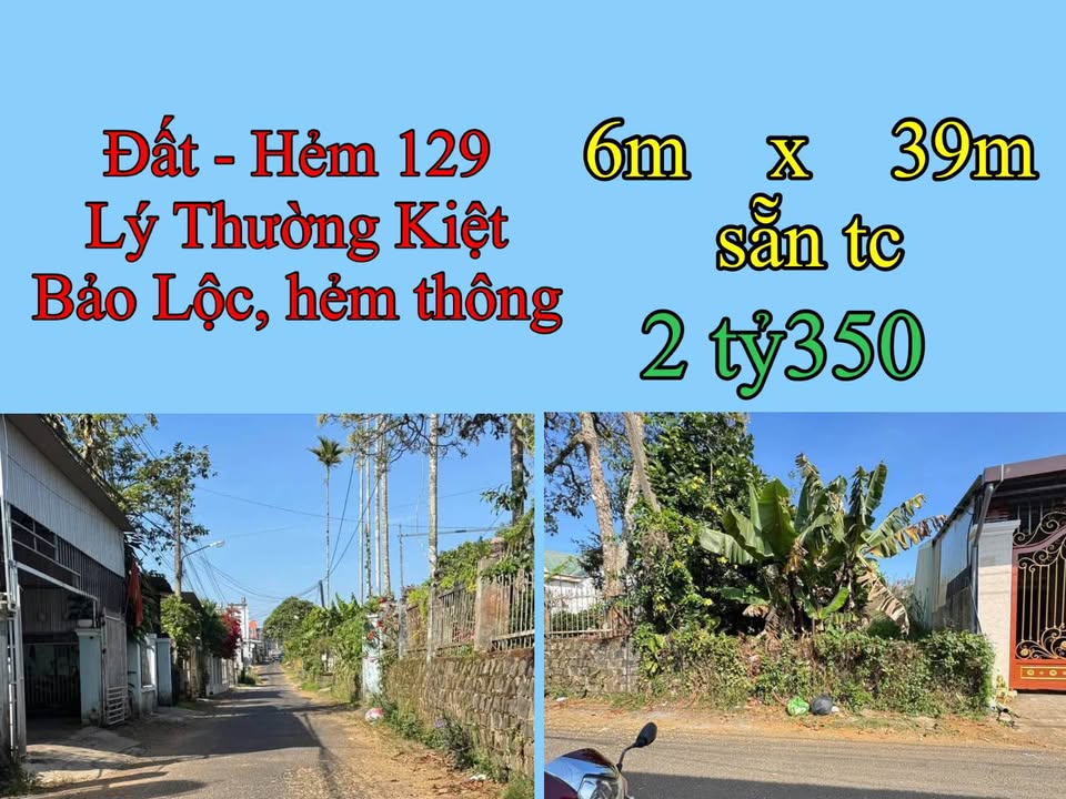 Đất nền Bảo Lộc 2340m² giá chỉ 2.35 tỷ - Đầu tư sinh lời ngay!