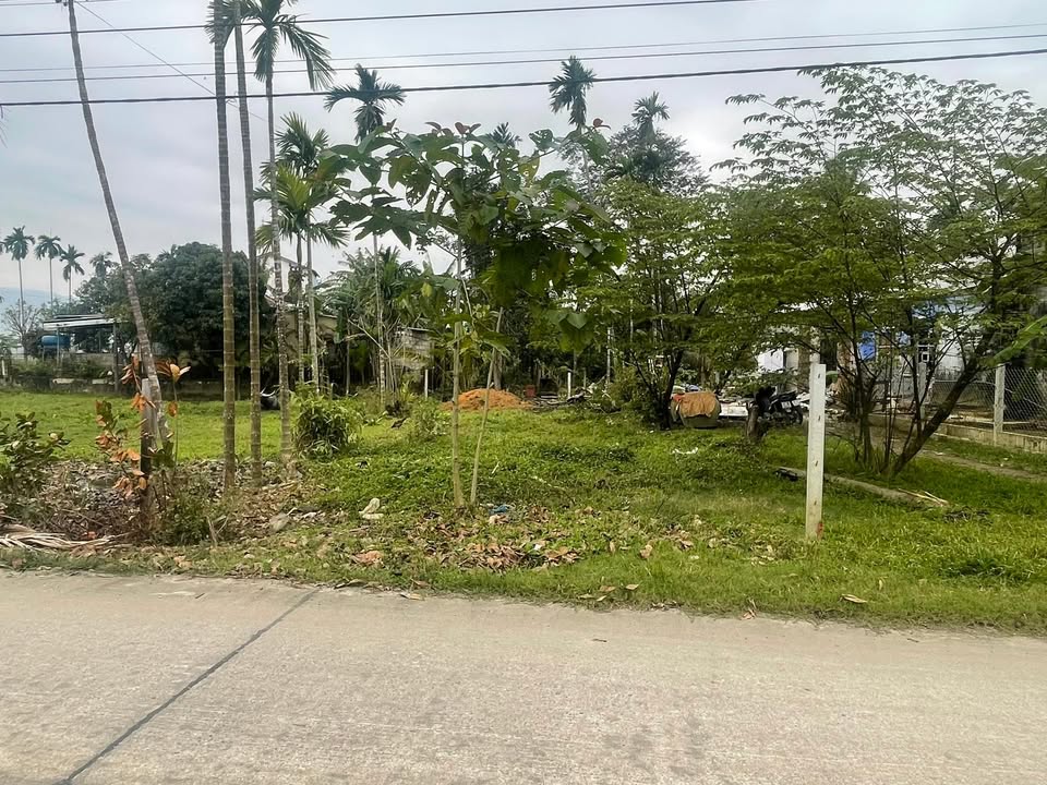 Đất nền trục chính thôn Túy Loan Tây, 152m² giá 1.7 tỷ - Đầu tư lý tưởng!