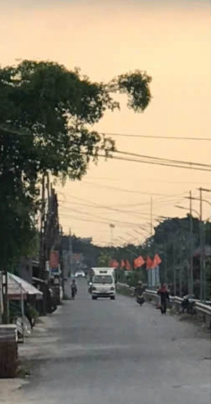 Đất nền trục đường ĐH27, xã Hoà Bình, Thái Bình 100m² - Giá cực tốt cho nhà đầu tư!