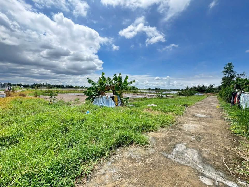 Bán đất nền nhánh Bùi Viện, phường Vĩnh Lợi, 150m² giá 520 triệu - Cơ hội đầu tư hấp dẫn!