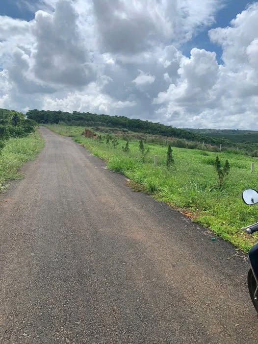 Đất thổ cư 500m² tại Lộc Đức, Bảo Lâm giá chỉ 599 triệu - Cơ hội đầu tư tuyệt vời!