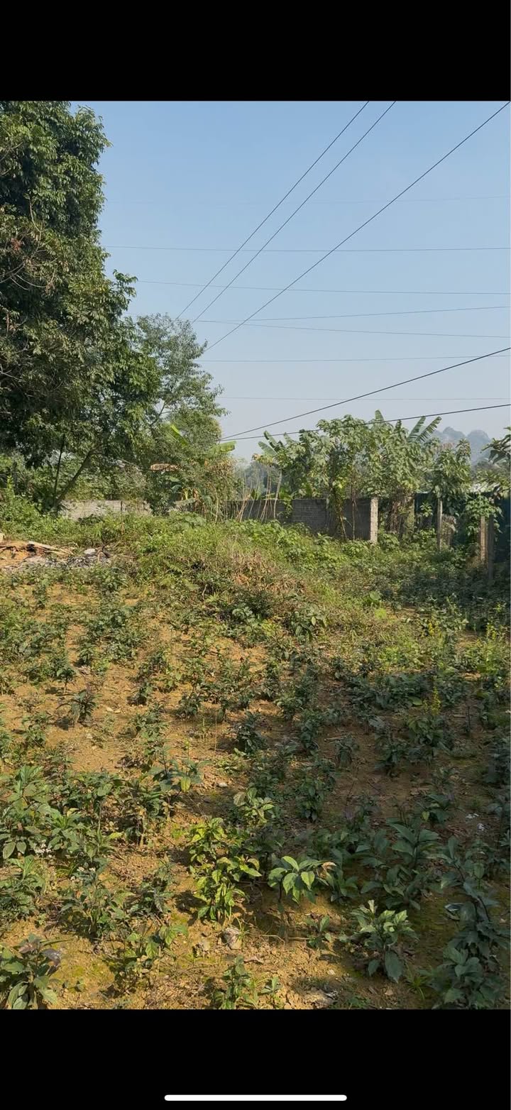 Đất nền Lương Sơn Hòa Bình 1.804m² giá 1.8 tỷ - Chính chủ bán gấp!