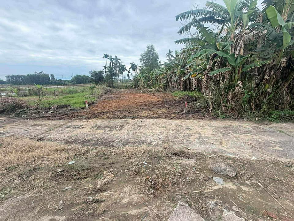 Đất ở Ái Nghĩa, Đại Lộc 163m² giá 700 triệu - Đường ô tô vào tận nơi!