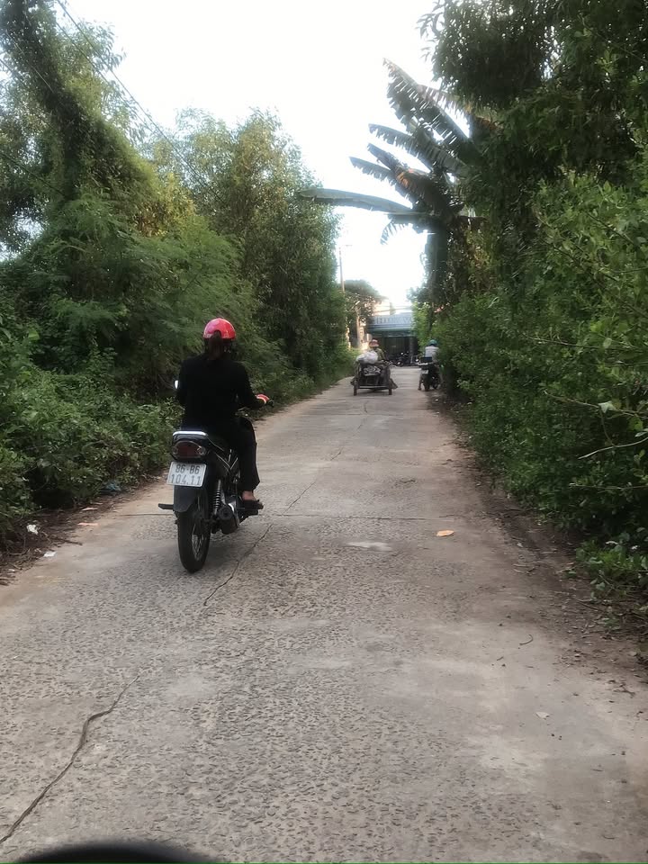 Bán đất thổ cư Phường Phước Hội, Tỉnh Lâm Đồng 99.5m² - Đầu tư an toàn!