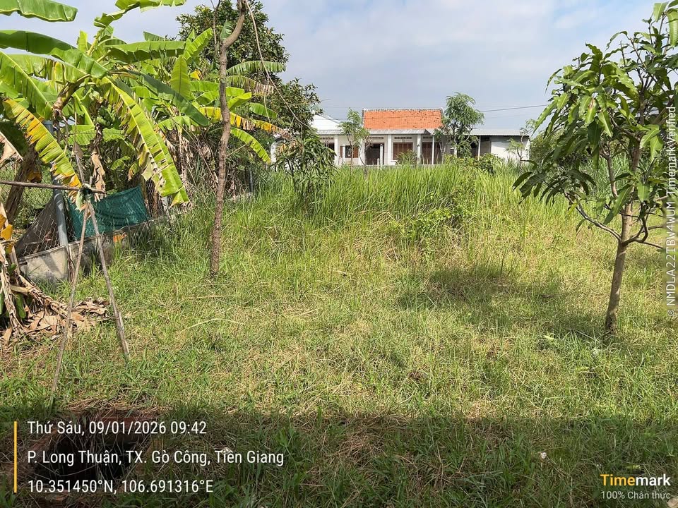 Đất thổ cư 547m² tại Long Thuận, Gò Công - Giá chỉ 1.914 triệu, bán gấp!