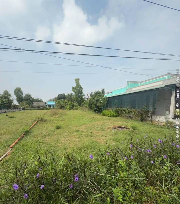 Đất thổ cư 107m² tại xã Đồng Thạnh, Gò Công Tây giá chỉ 450 triệu - Cơ hội vàng cho đầu tư!