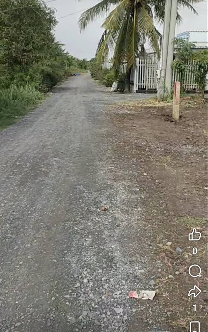 Đất nền Bình Ninh, Gò Công Tây 247m² giá 515 triệu - Cơ hội đầu tư tốt!